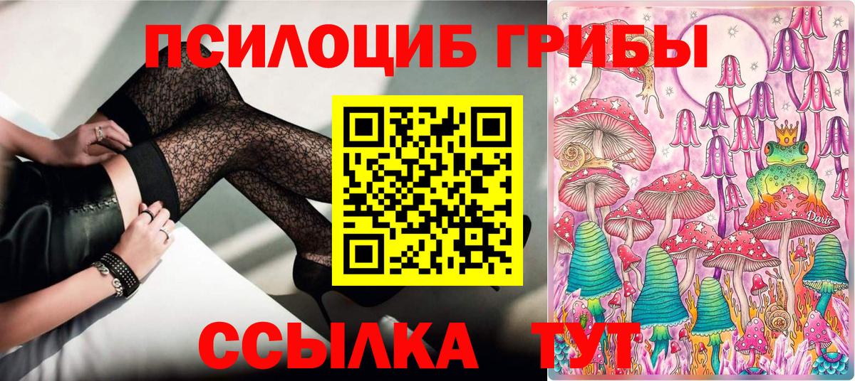 Шарыпово  Псилоцибиновые грибы мухоморы  где продают   Вход с VPN 