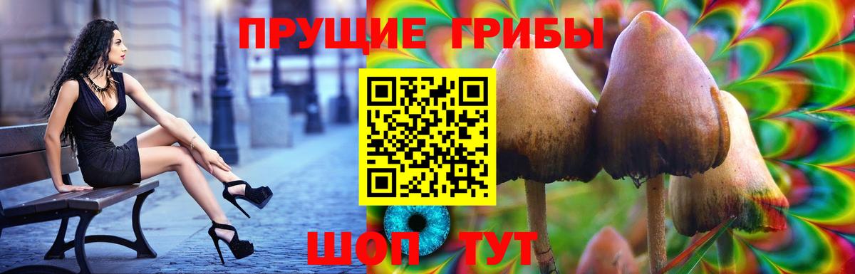 Галлюциногенные грибы Psilocybine cubensis Шарыпово